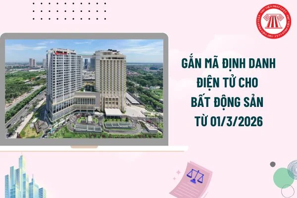Định danh điện tử cho Bất động sản: Dấu mốc minh bạch hóa thị trường